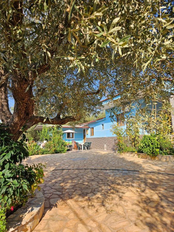 Oni Apartments Ksamil Eksteriør billede
